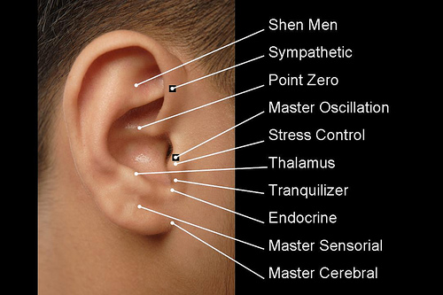 ear master points