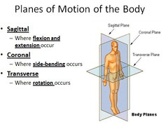 planes of motion of body