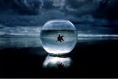 fishbowl ocean 3